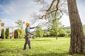 Best Tree Risk Assessment  in Highpoint, OH