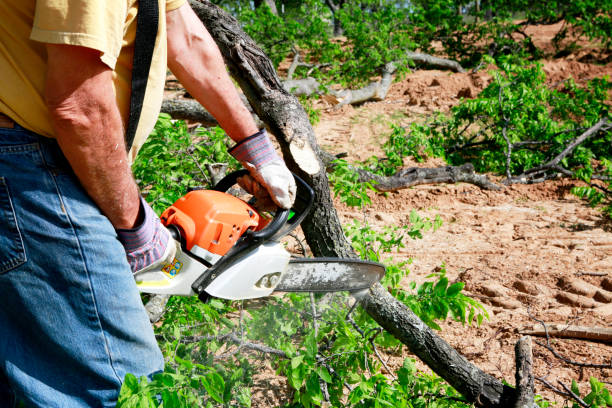 Best Commercial Tree Services  in Highpoint, OH